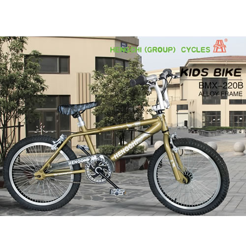 童車(chē)BMX-220B